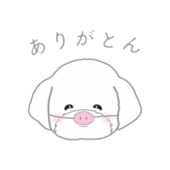 [LINEスタンプ] マルチーズ〜時々パグ〜