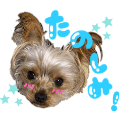 [LINEスタンプ] もずかぼ 1