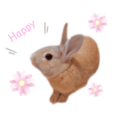 [LINEスタンプ] ミニうさプリン☆