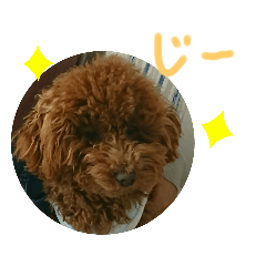 [LINEスタンプ] ティナのスタンプ 8