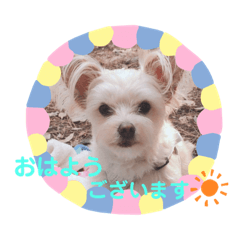 [LINEスタンプ] 〜カイくんの日常〜