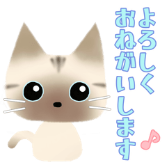 [LINEスタンプ] シャムMIX猫のふわかわスタンプ