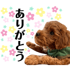 [LINEスタンプ] 犬のぷぷちゃん2