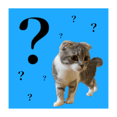 [LINEスタンプ] Glicoのもっと日常スタンプ