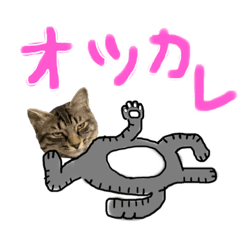 [LINEスタンプ] やる気のない猫など