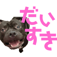 [LINEスタンプ] ぶびお