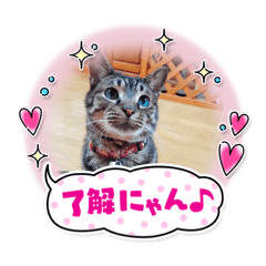 [LINEスタンプ] 愛月と空パート9