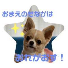[LINEスタンプ] やんちゃなししまるNo3