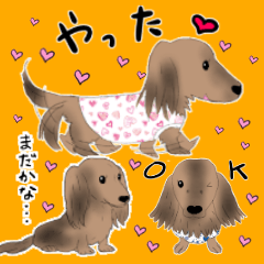 [LINEスタンプ] ミニチュアダックス 女の子ver.