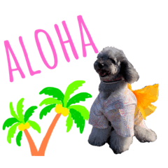 [LINEスタンプ] シルバープードル pretty cute puna 2
