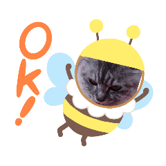 [LINEスタンプ] Cat in me
