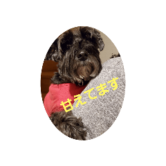 [LINEスタンプ] アンコちゃんシリーズ②