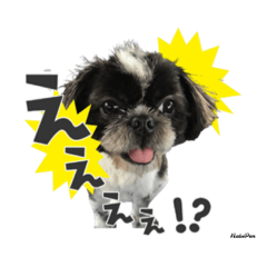 [LINEスタンプ] なべぺん