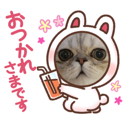[LINEスタンプ] 犬と猫と鳥の愉快な仲間達
