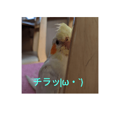 [LINEスタンプ] MOKA＆イヴ