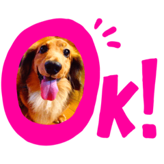 [LINEスタンプ] わが家のペットたち。