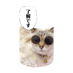 [LINEスタンプ] デイジー尊い