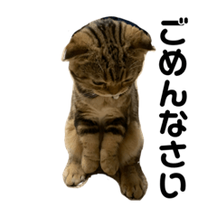 [LINEスタンプ] るんばとぎずも♡