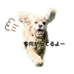 [LINEスタンプ] 愛しのハービー