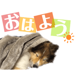 [LINEスタンプ] イヴパラダイス