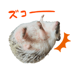 [LINEスタンプ] 小さな住人たち4