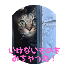 [LINEスタンプ] くぅの気持ち#