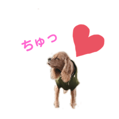 [LINEスタンプ] 愛しのハービー第二弾