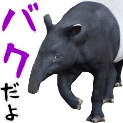 [LINEスタンプ] ほほえみフレンズ バクのきままな日常生活の画像（メイン）