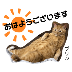 [LINEスタンプ] Dep 里親様スタンプ 猫ver④ 敬語版