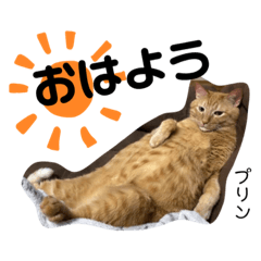 [LINEスタンプ] Dep 里親様スタンプ 猫ver ④