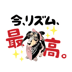 [LINEスタンプ] ミニチュアダックスの気ままなランチ⑯