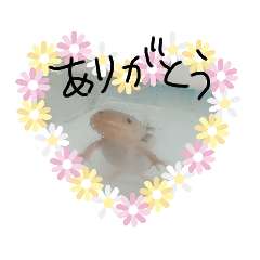 [LINEスタンプ] うーさん家の日常④