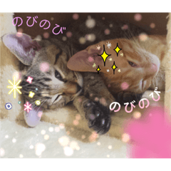 [LINEスタンプ] Johnny ＆ Chocola ❹