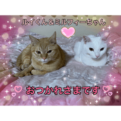 [LINEスタンプ] 幸せな仲間達  No.2
