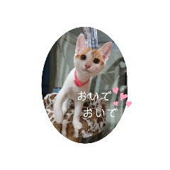 [LINEスタンプ] ておと私のメッセージ