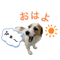[LINEスタンプ] かわいいモカちん♪