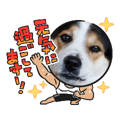 [LINEスタンプ] Love20202896