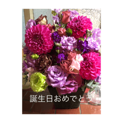 [LINEスタンプ] お花がいっぱいだよスタンプ