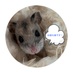 [LINEスタンプ] うにすた-お仕事編-