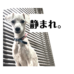 [LINEスタンプ] ストーリーテラーズの画像（メイン）