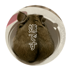 [LINEスタンプ] うにすた-日常編2-