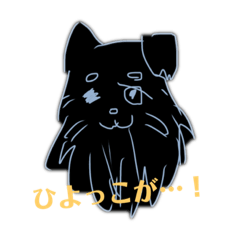 [LINEスタンプ] 老犬オリオン2