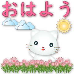 [LINEスタンプ] かわいい小さな白猫-実用的な挨拶