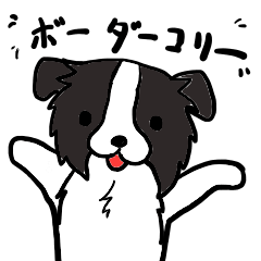 [LINEスタンプ] 可愛いボーダーコリー