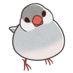 [LINEスタンプ] しるばー文鳥