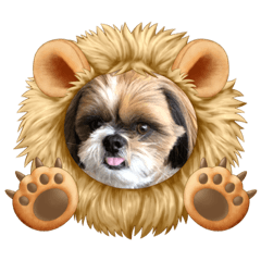 [LINEスタンプ] シーズー犬ぽぽ6