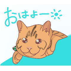 [LINEスタンプ] こはネコ