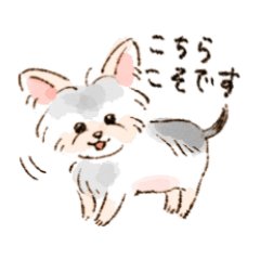 [LINEスタンプ] あずきのお仕事で使いやすい敬語スタンプ