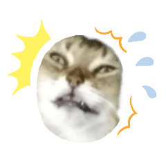 [LINEスタンプ] ああアビシニアン家族40