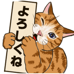 [LINEスタンプ] 家猫たちの日常で見せるかわいい仕草2